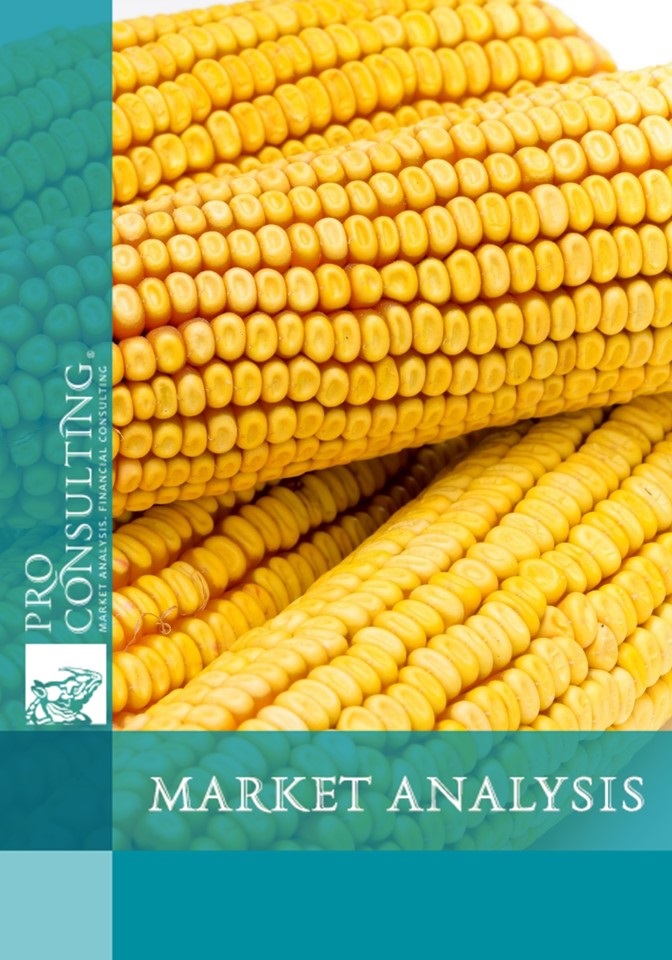 Analysis of the corn seed market in Ukraine for 2017-5 months. 2019